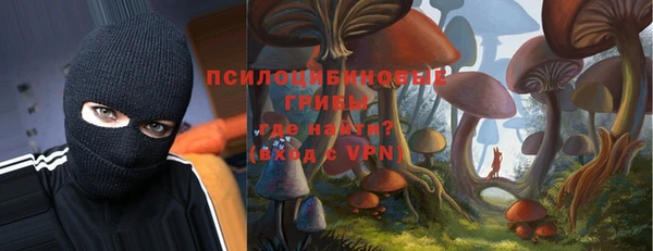 кокс Нягань
